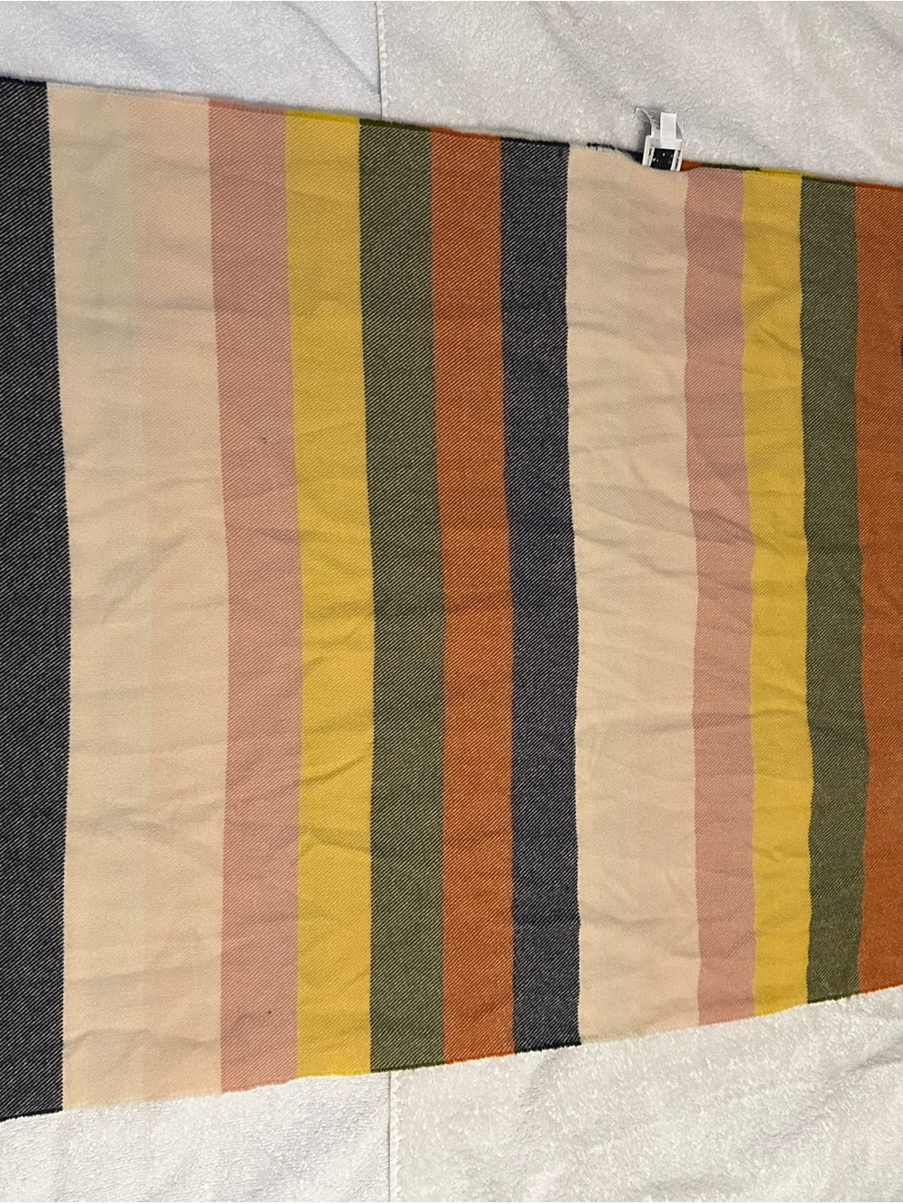 Striped Multicolor Scarf